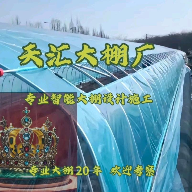 天汇大棚.A