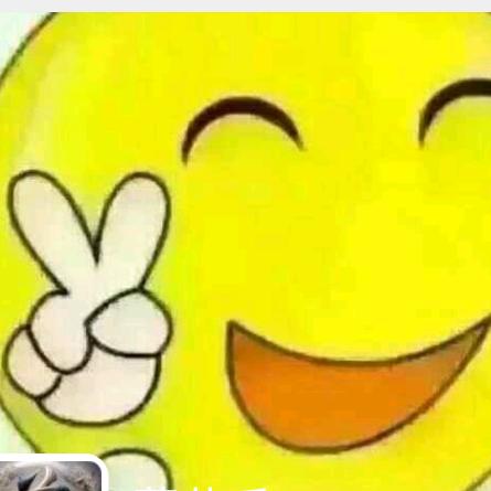 带着满腔热爱,缚奔赴……(๑•॒̀ ູ॒