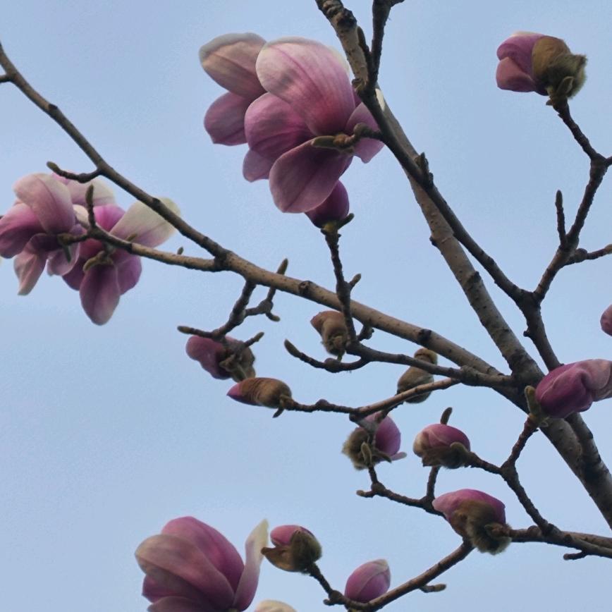 蒸蒸日上
