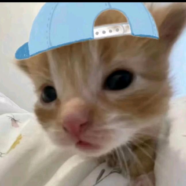 WwW
