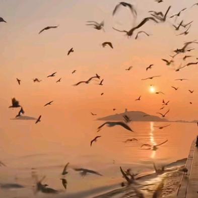 回忆过去量力而行