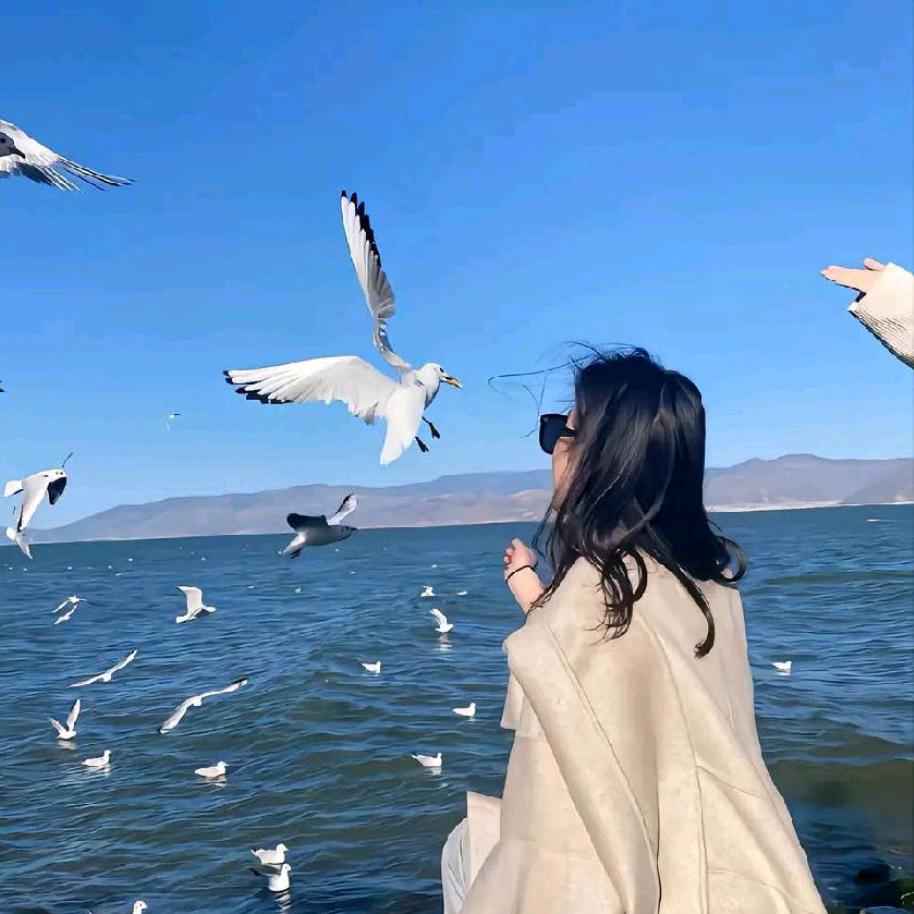 仙人掌🌵上雨初晴🍀