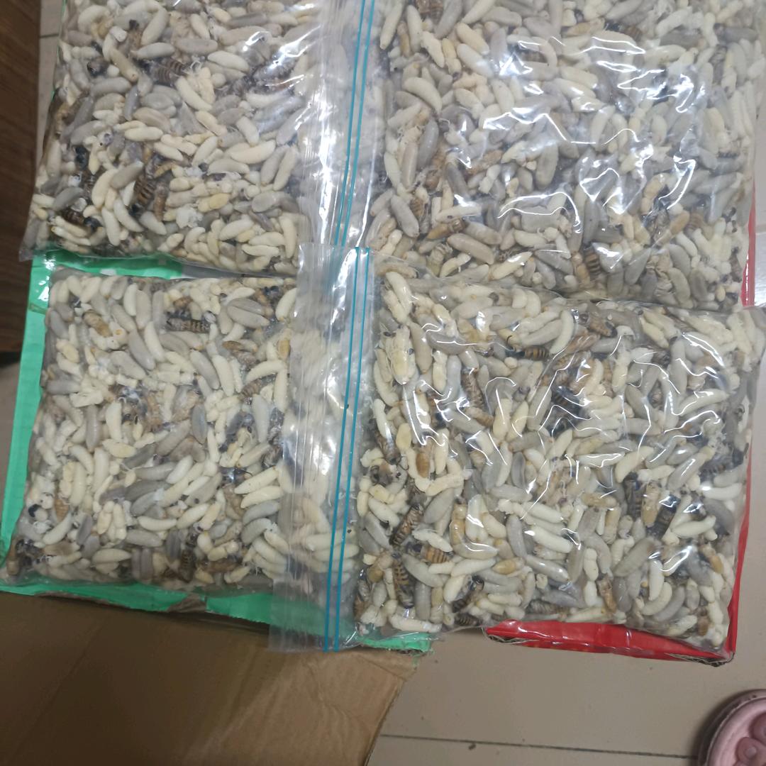 有人想吃马蜂吗打包好了