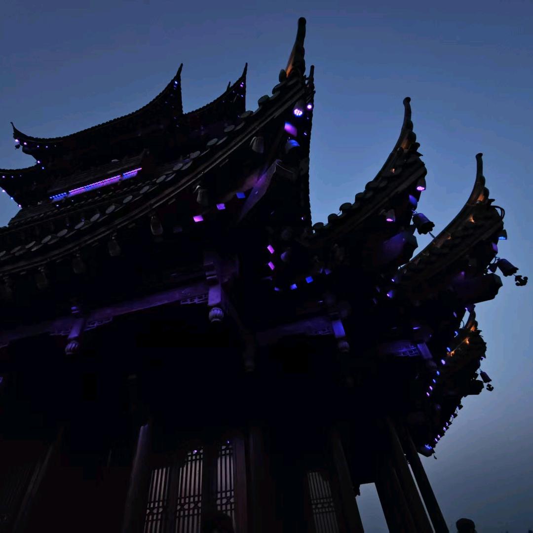 不想当洋葱