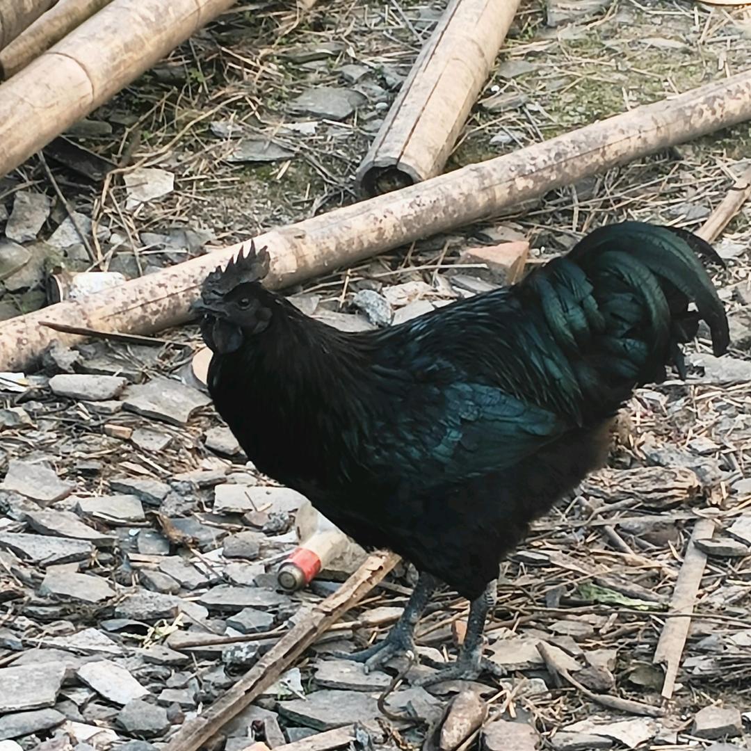 盐津大地生态农场