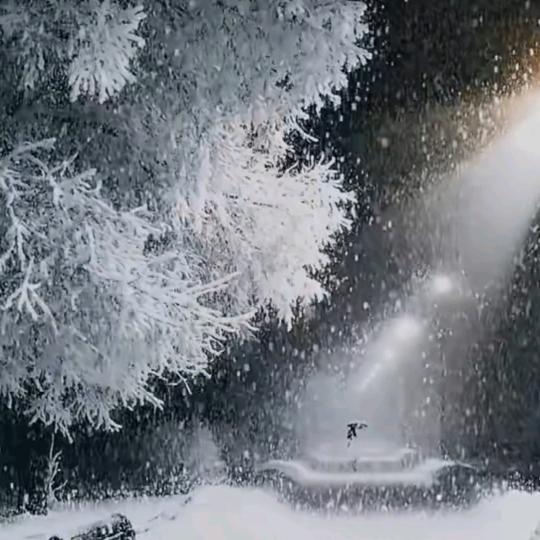 ван ли хуй
