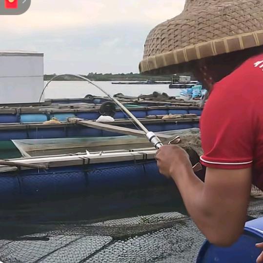 花猛大师🎣🐠