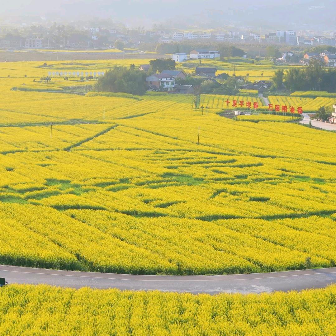 馨维百货