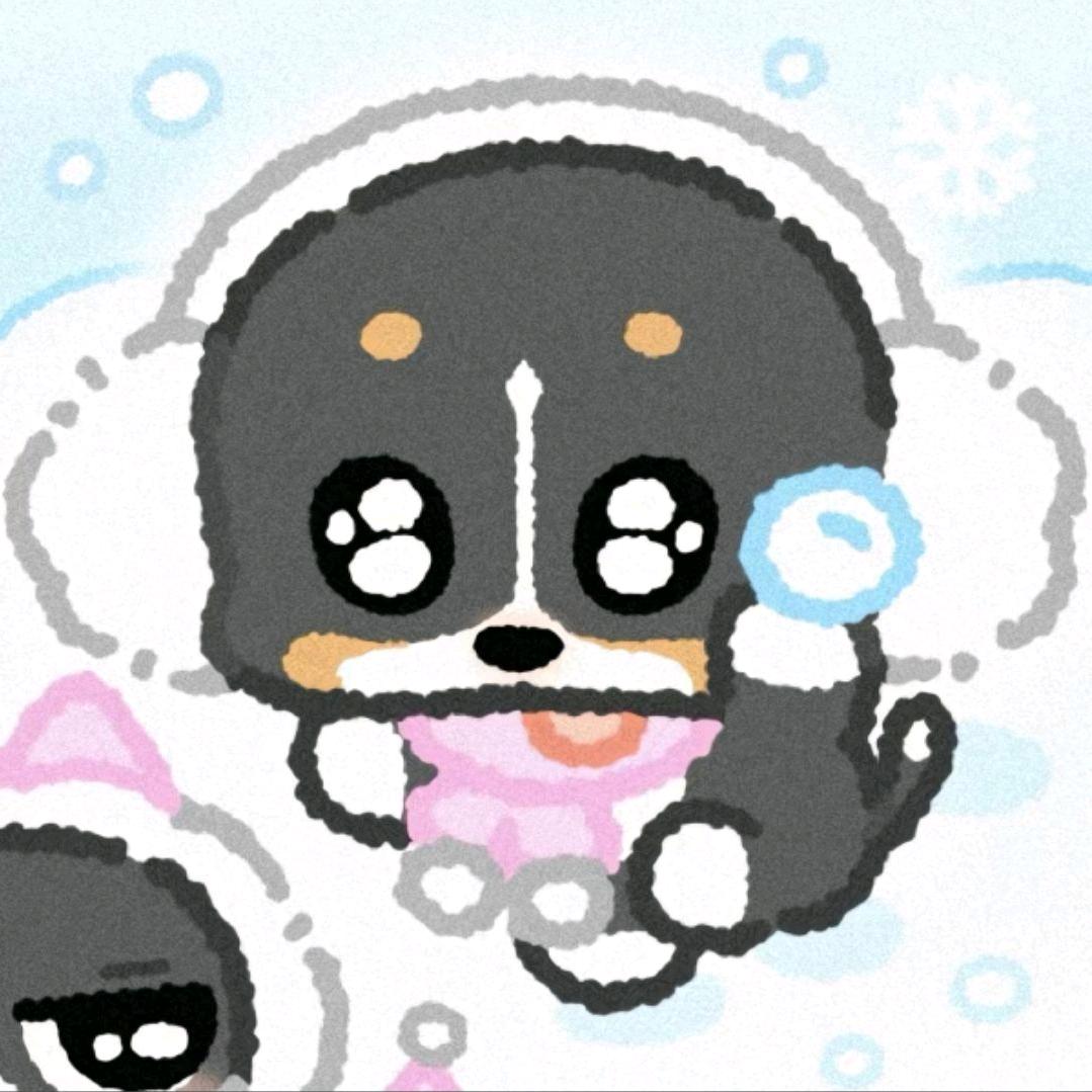 中规中矩