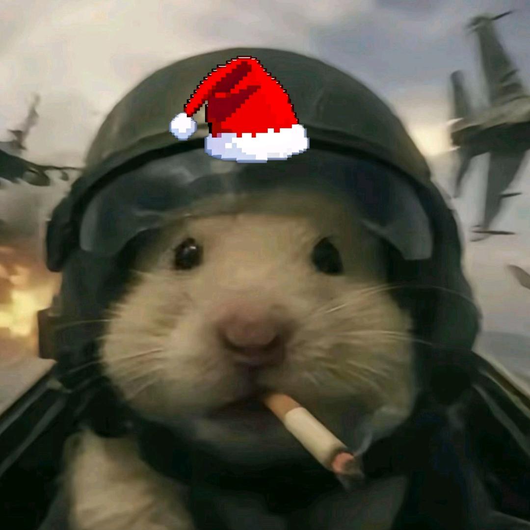 卡莫纳超级老鼠🤓👆