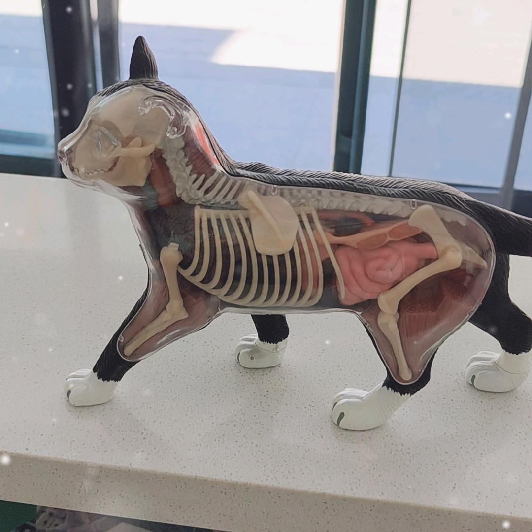 临朐县佳旺宠物医院