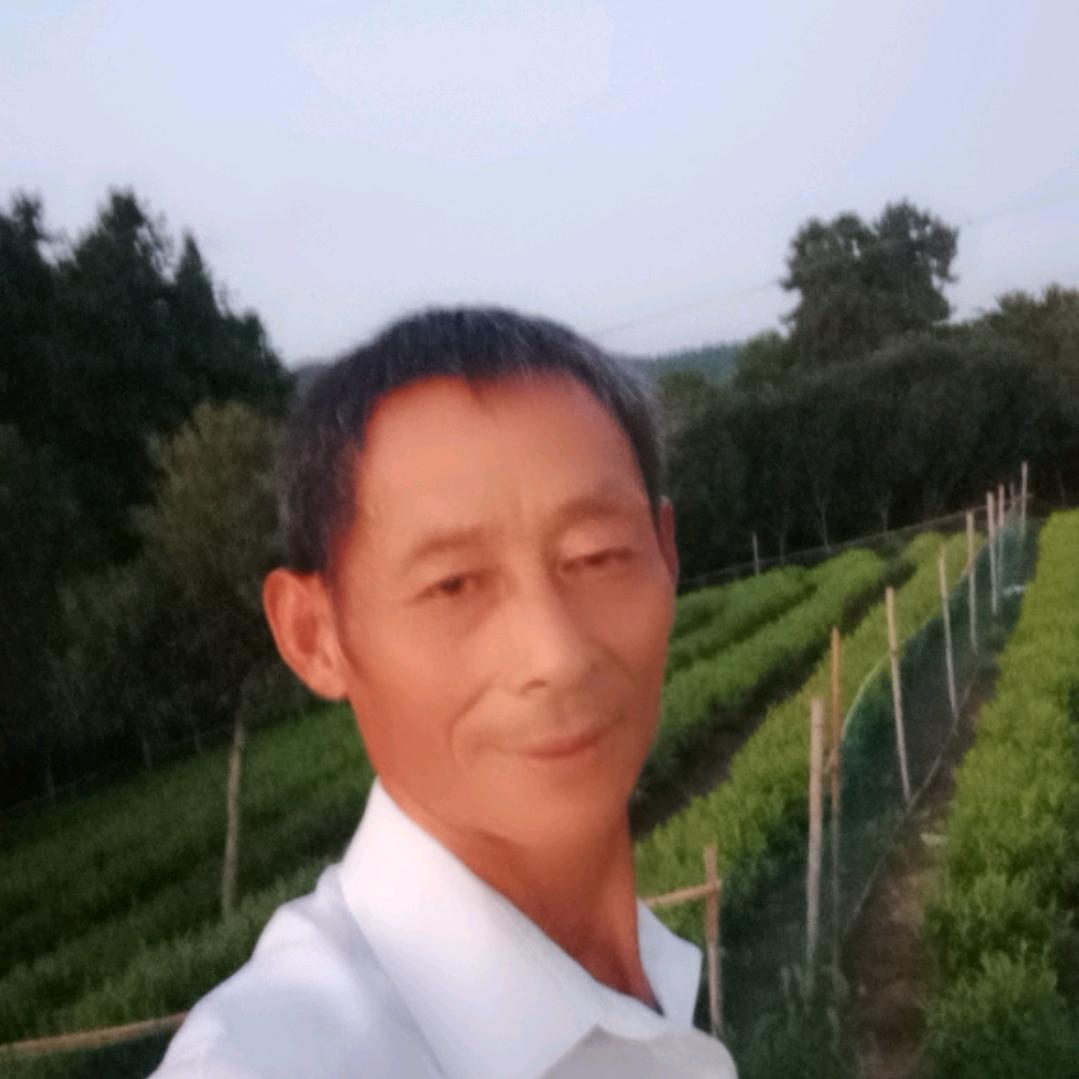 搬砖走起.