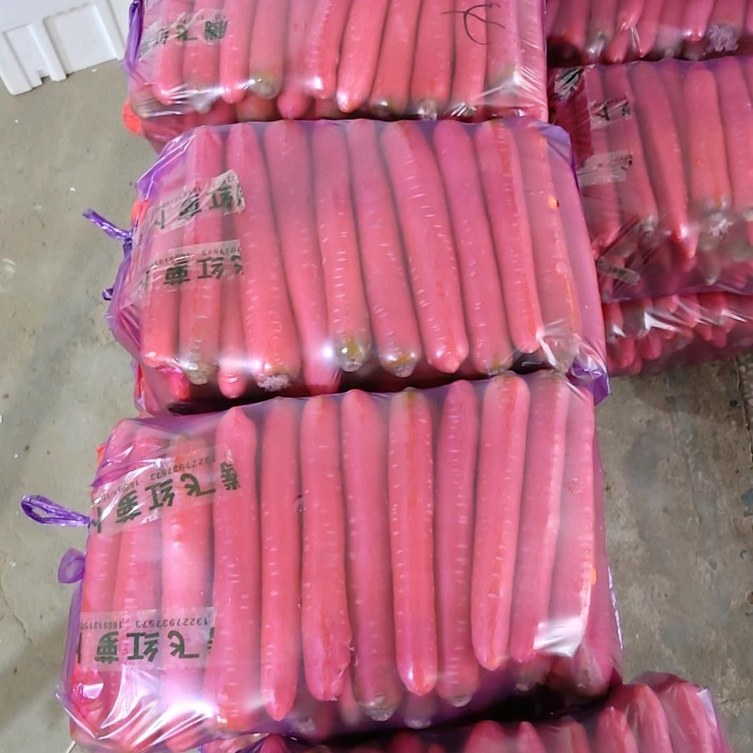 红萝卜加工销售