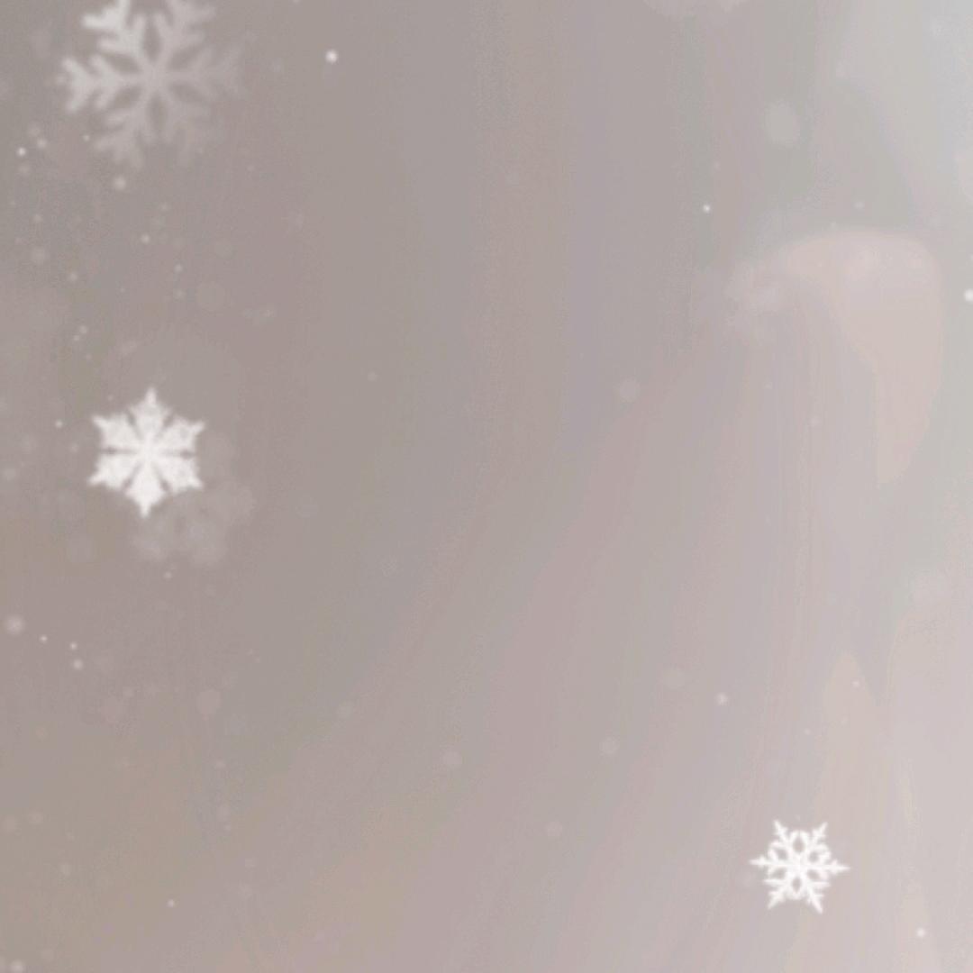 （文）