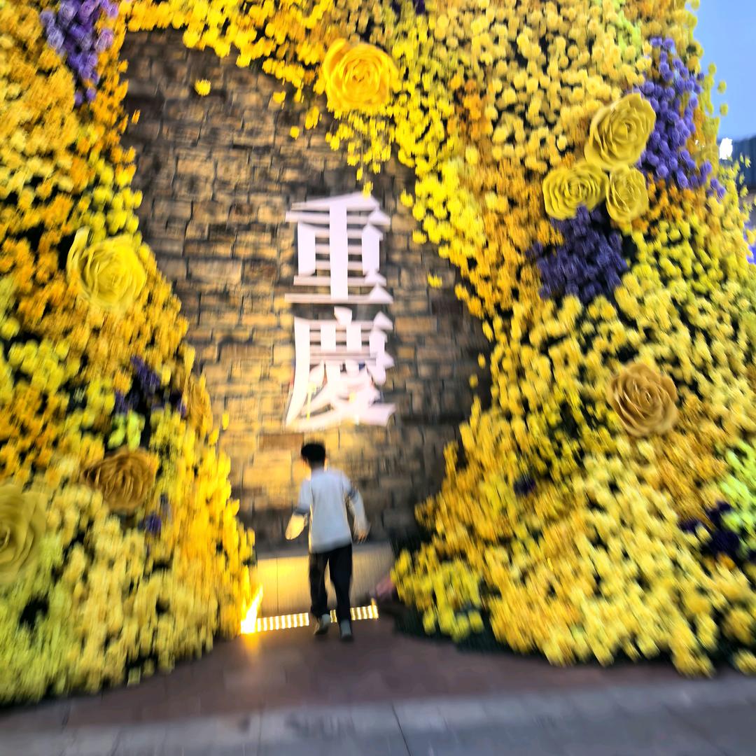 斐波拉