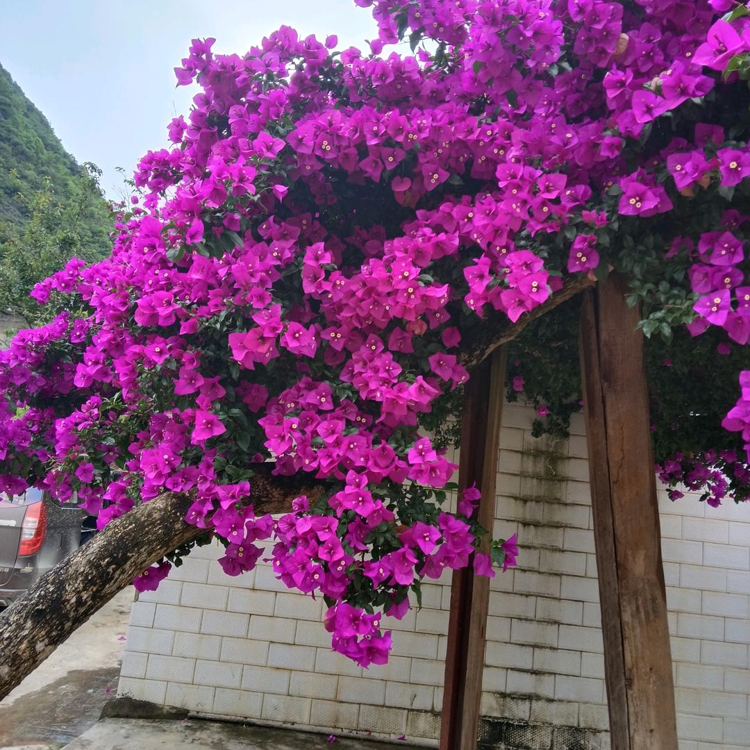 看淡一切，给得再好我不要了