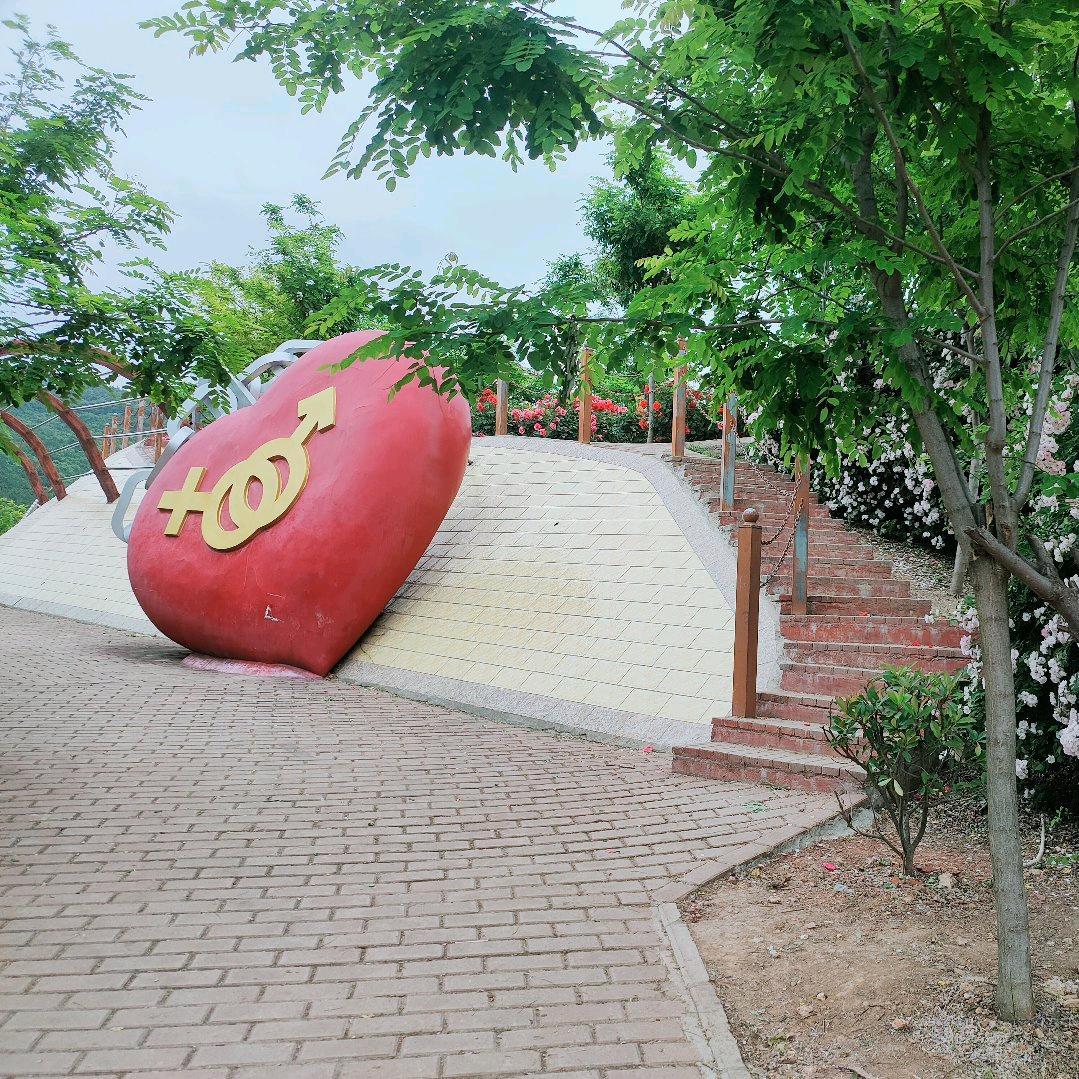 一路向阳