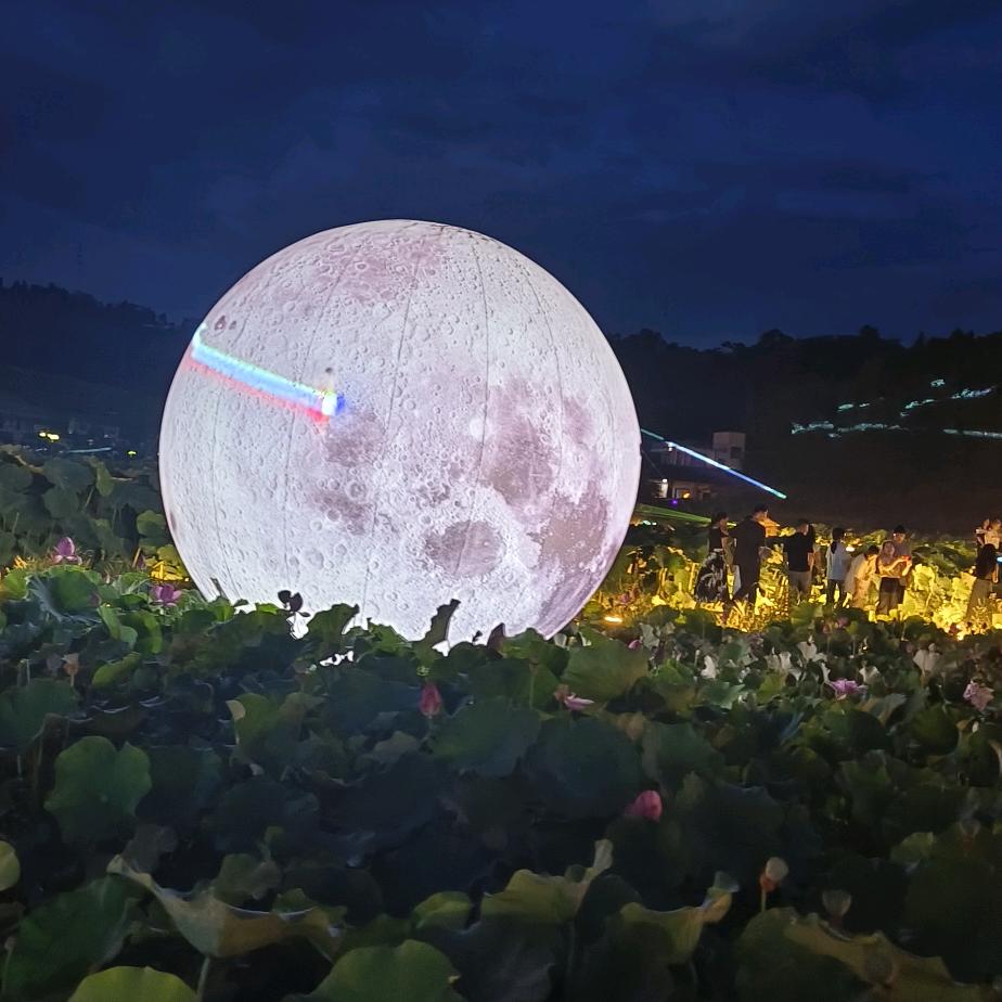 往事随风，记忆归零