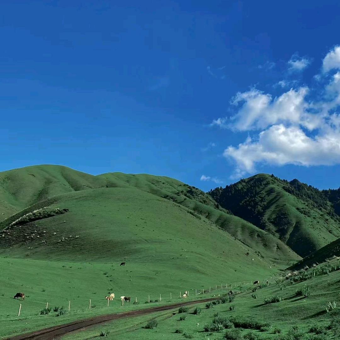 💚本自具足💚