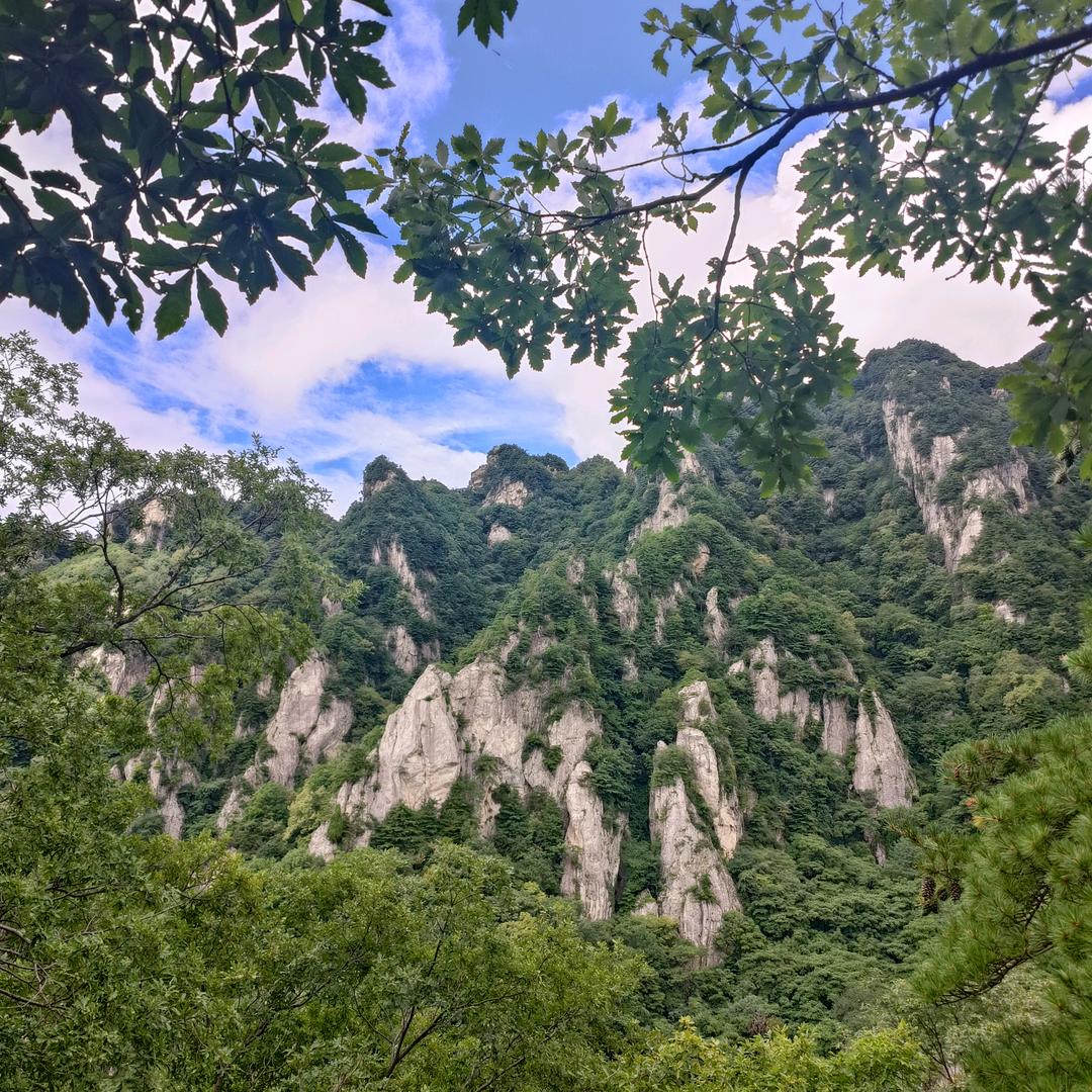 星期天看房