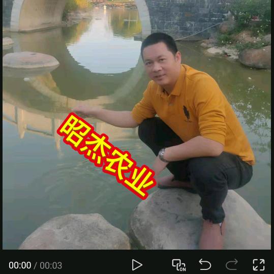 昭杰农业~陈权