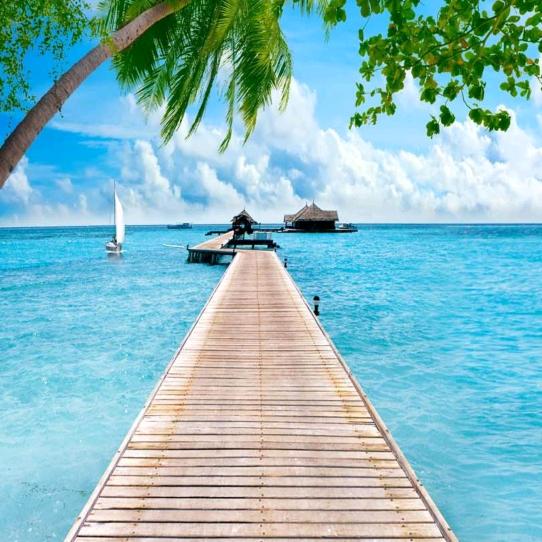 比亚迪附近房屋出租.住宿