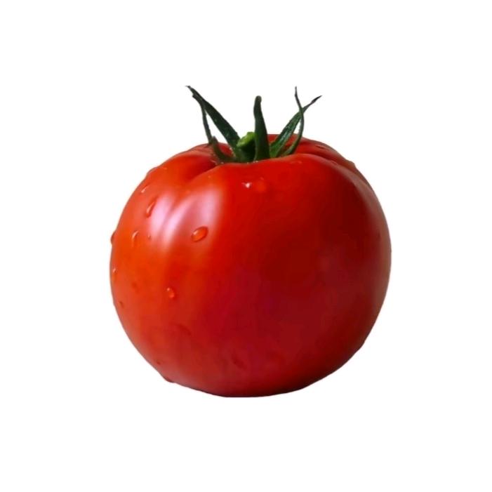 西红柿🍅