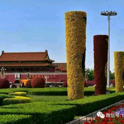 小菲崽