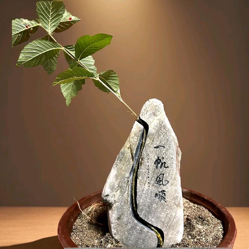 太行奇石附石馆(小董)