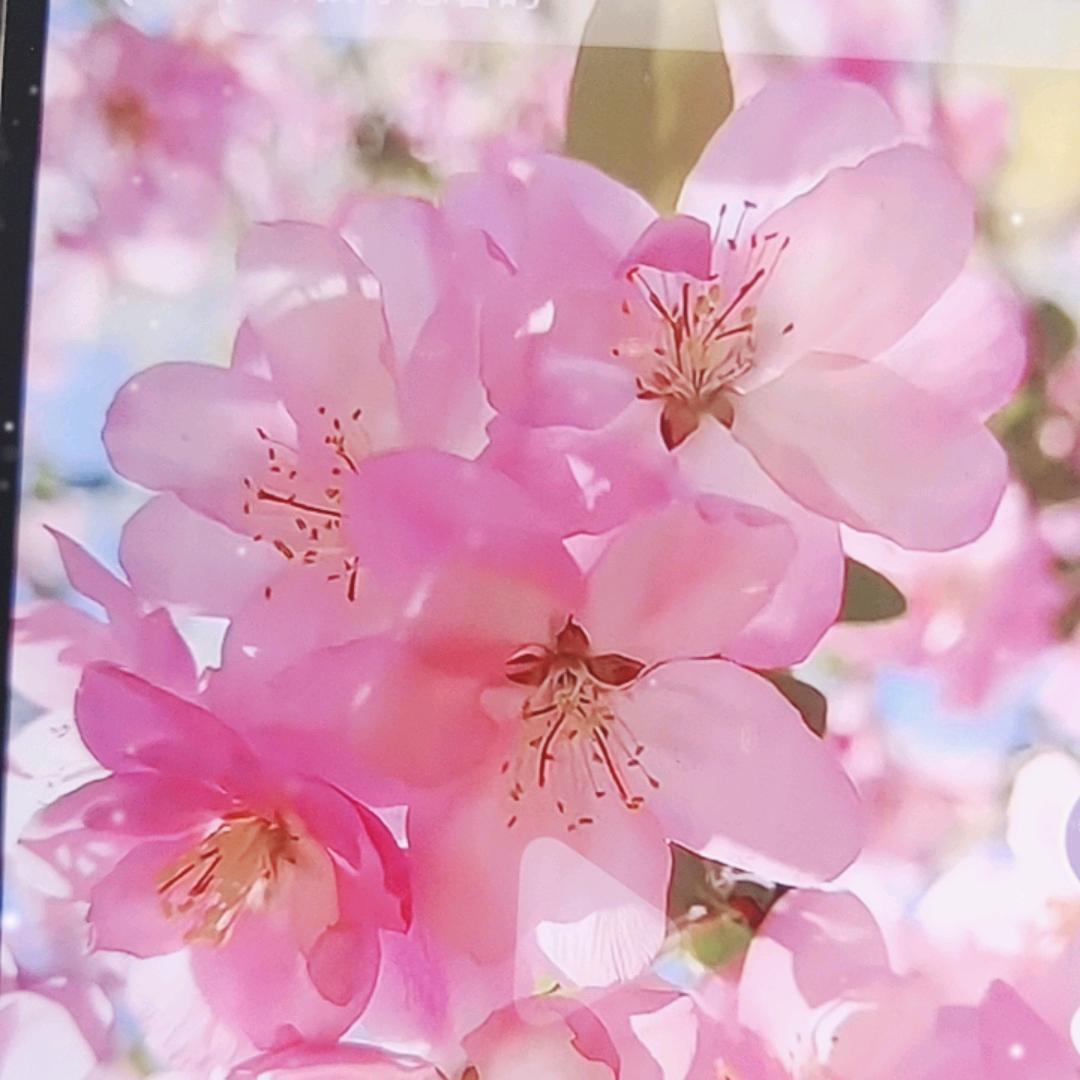 瞰世-小歌