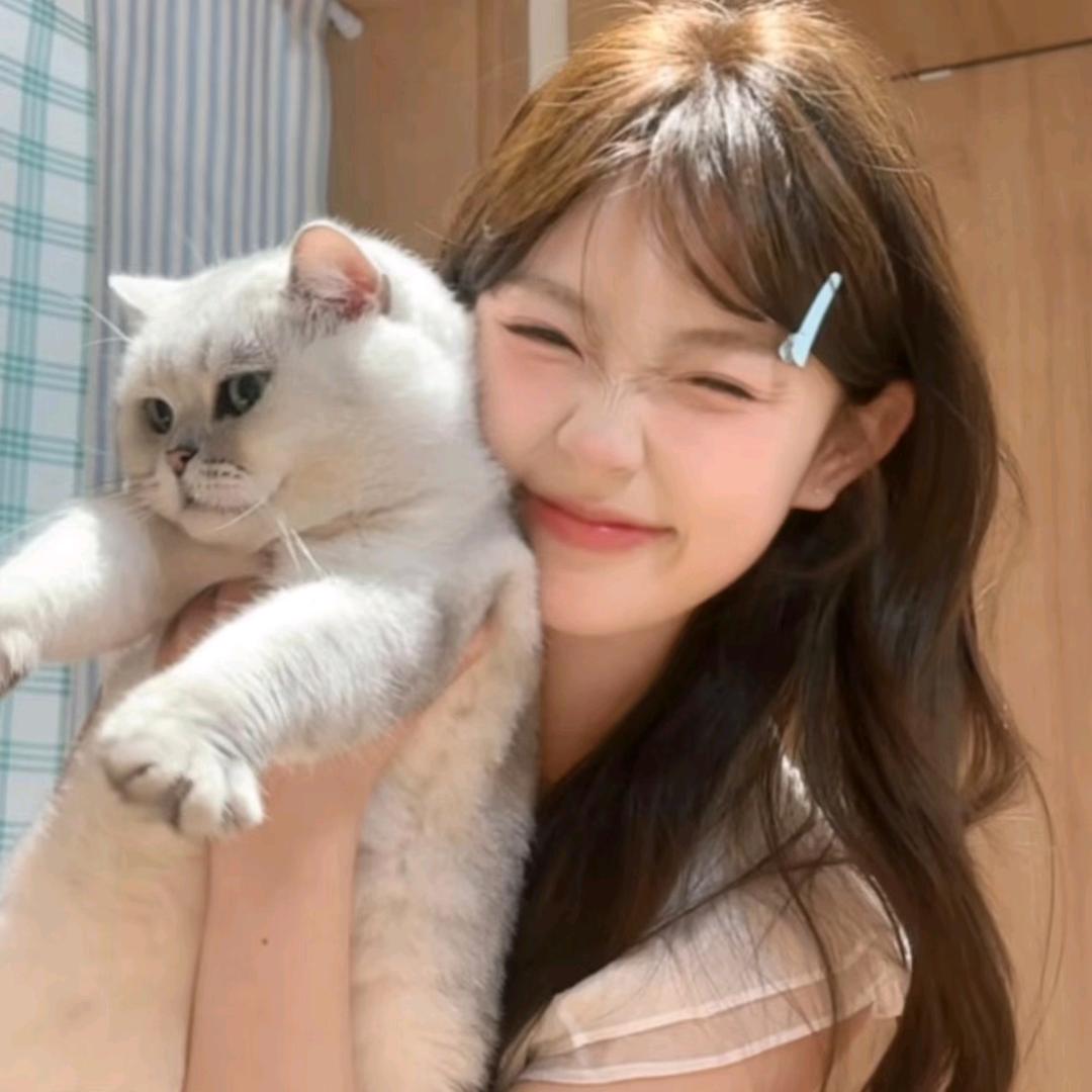 敲极蛋黄酥˶╹ꇴ╹˶🥞