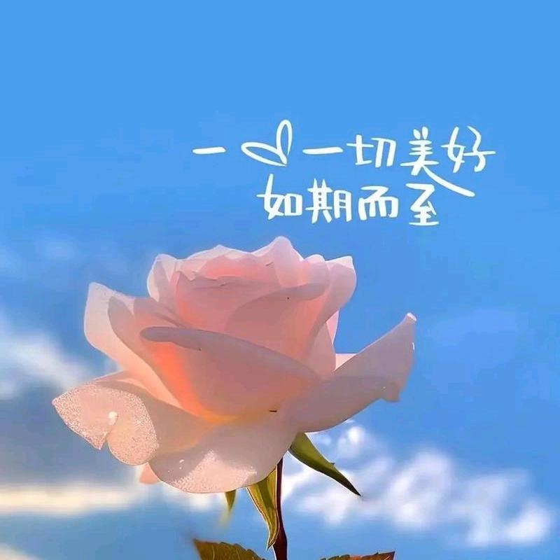 希希好物