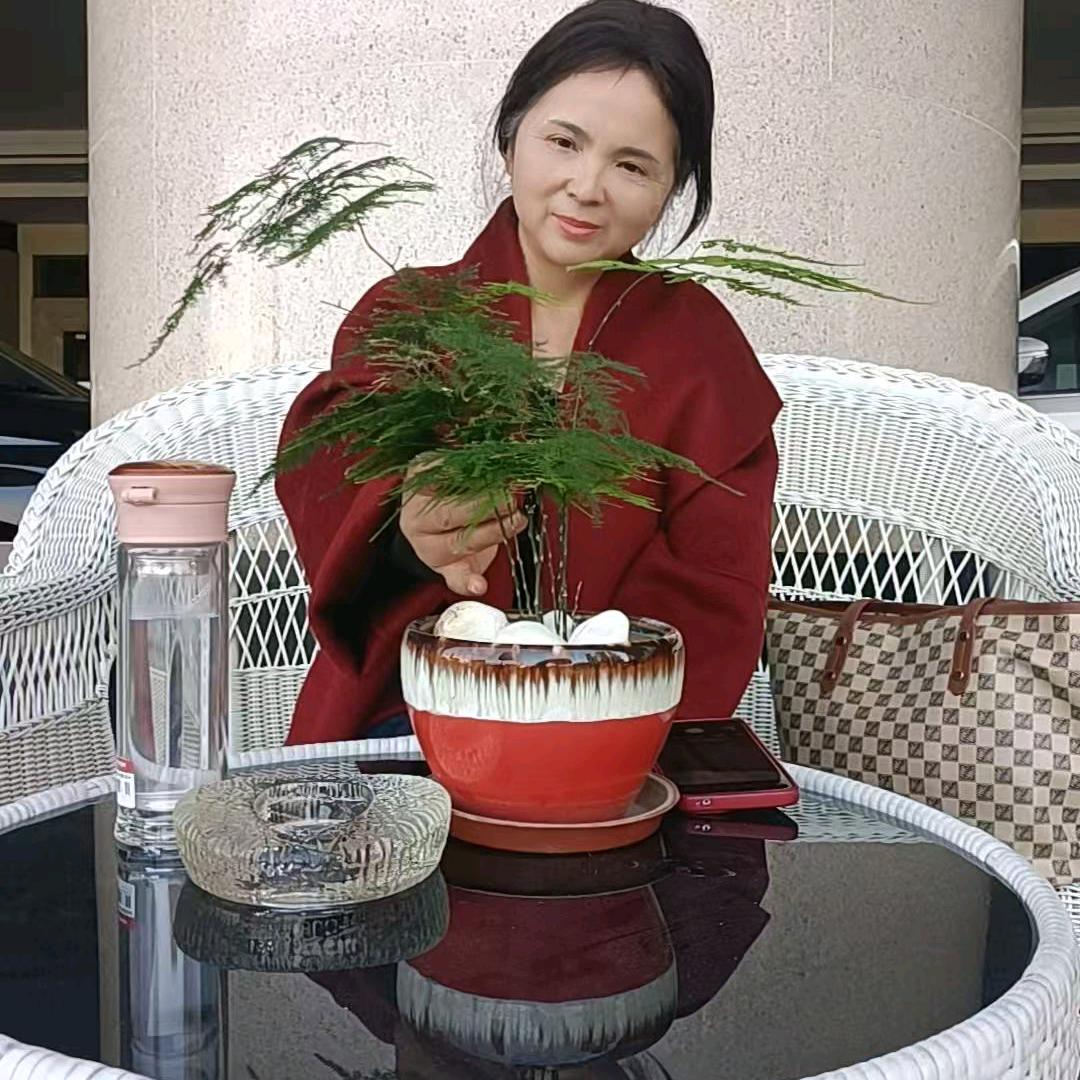 刘莲
