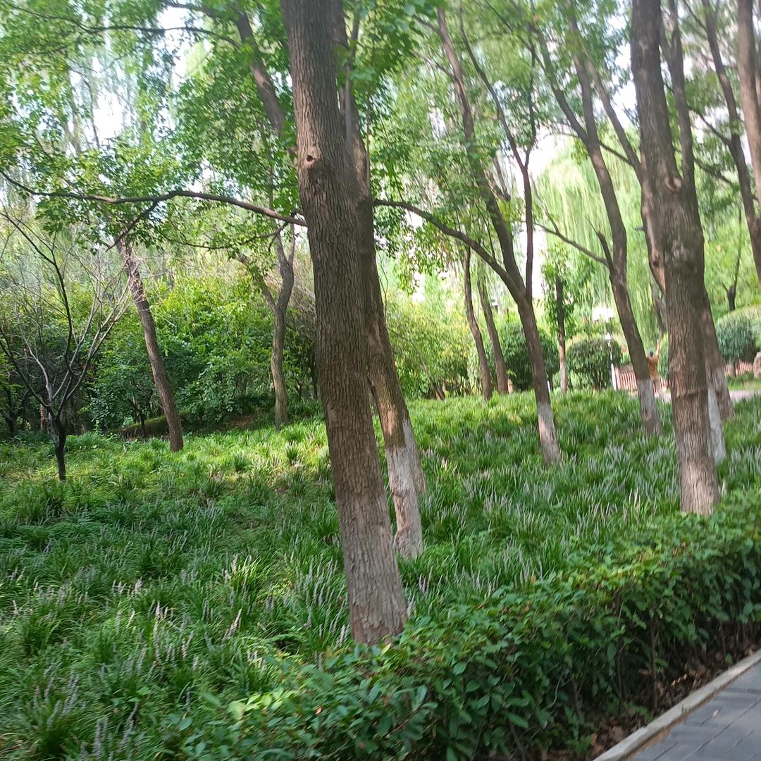 长宁