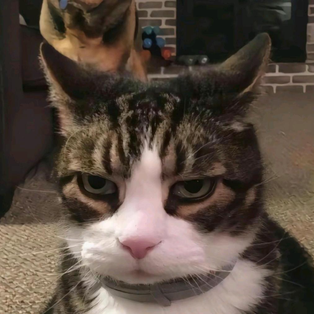 花天酒地柳如烟