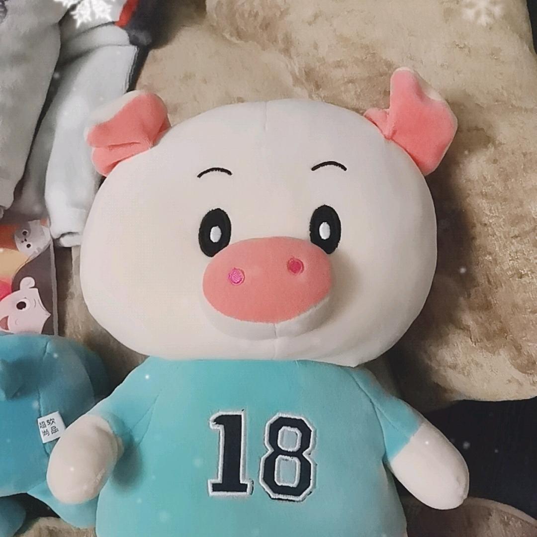 晴天猪宝