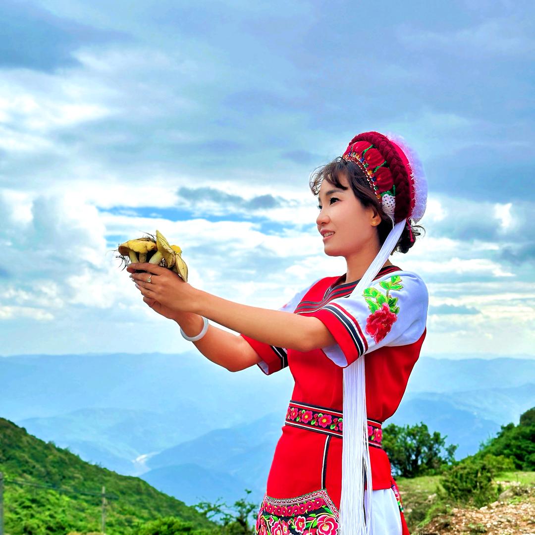 山间刘梅子