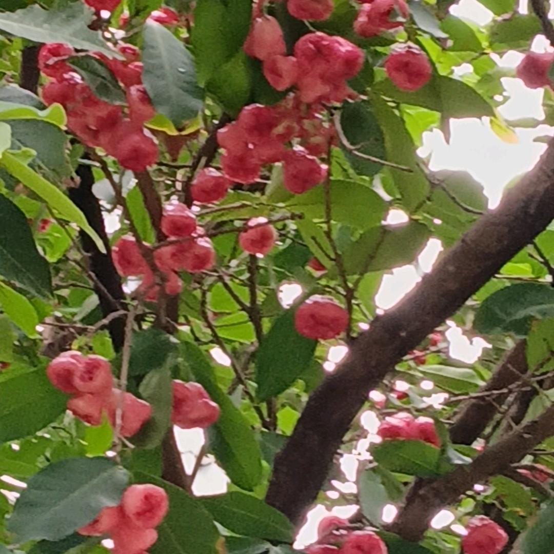 漫漫