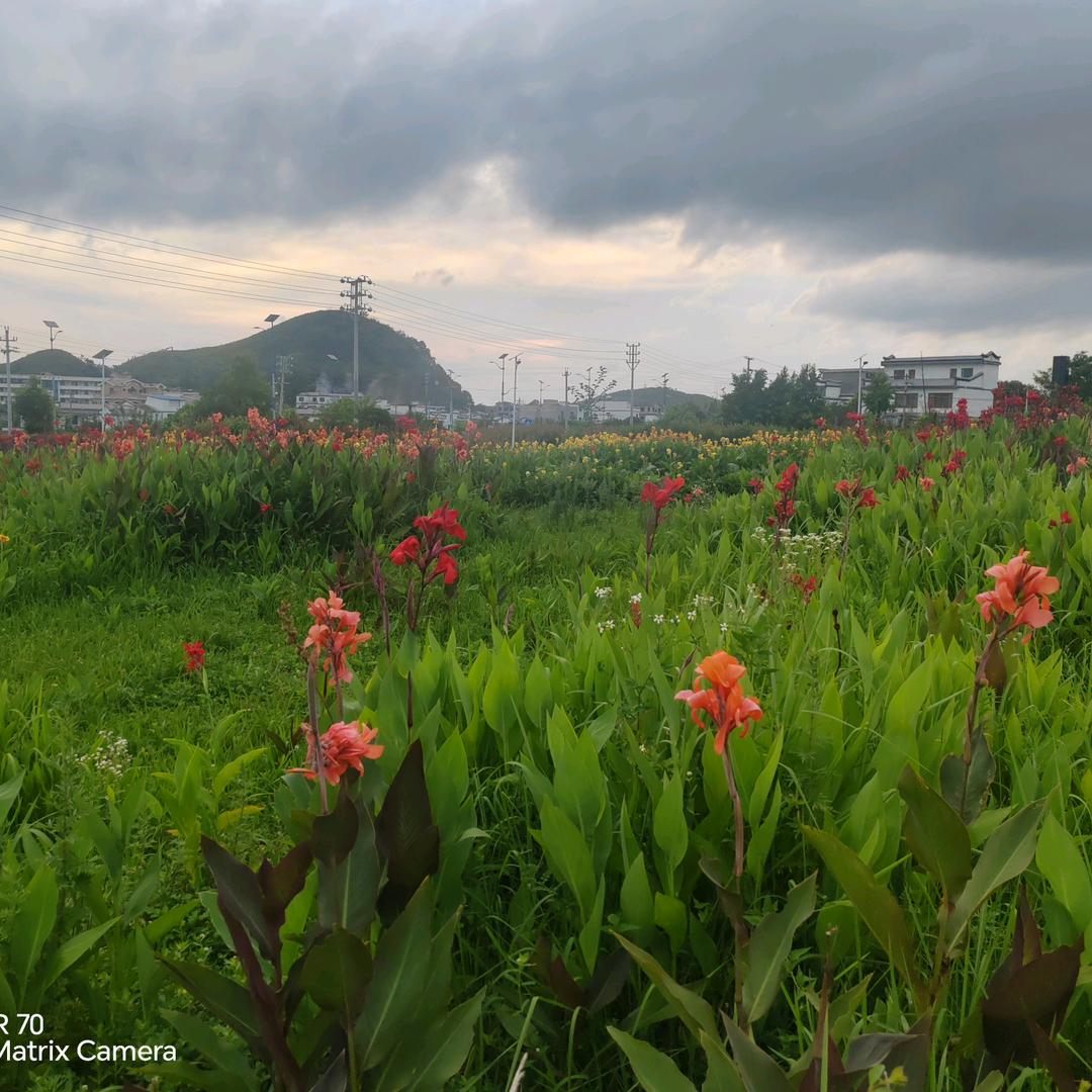 你煮香🍝🍚🍲🍧