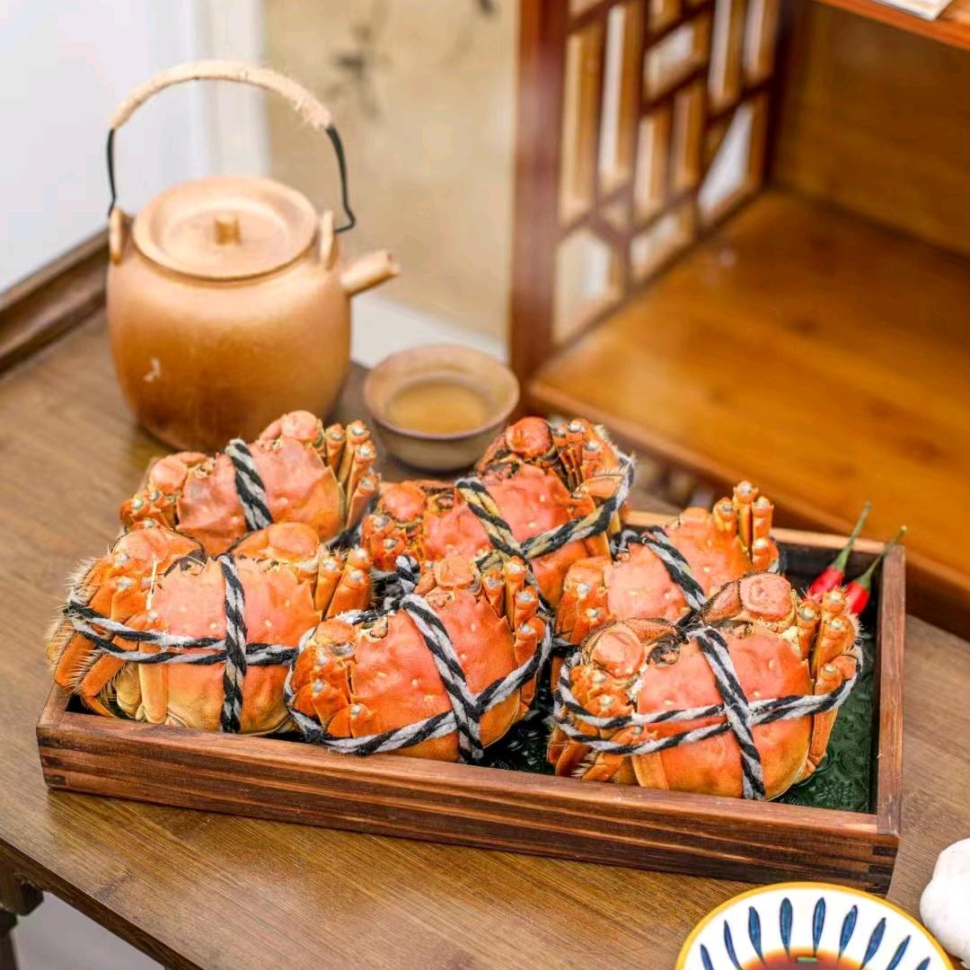 蟹皇记-🦀蟹蟹玲