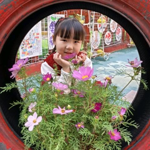 农民工(拆楼哥）（木)(易))元霸