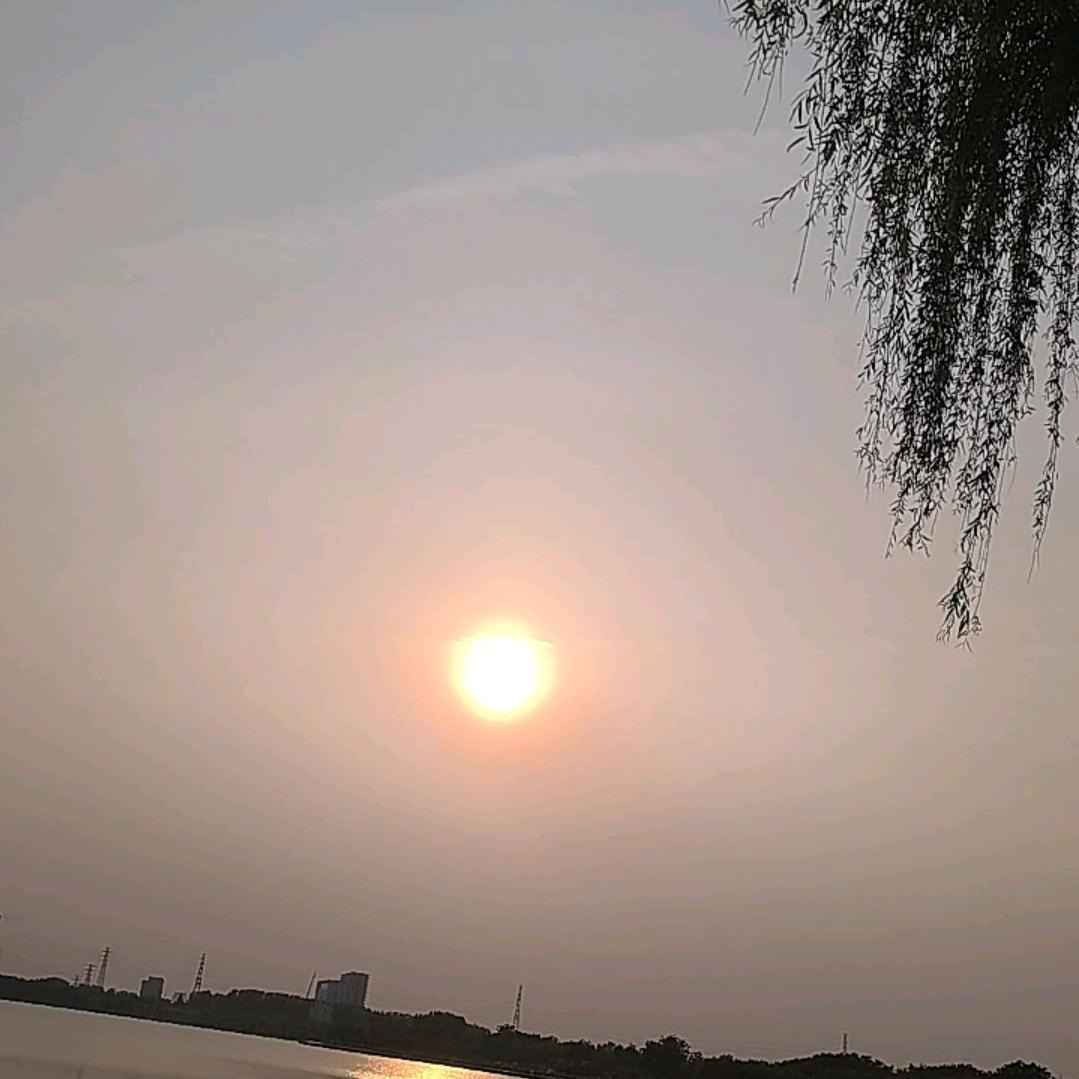 大丫头