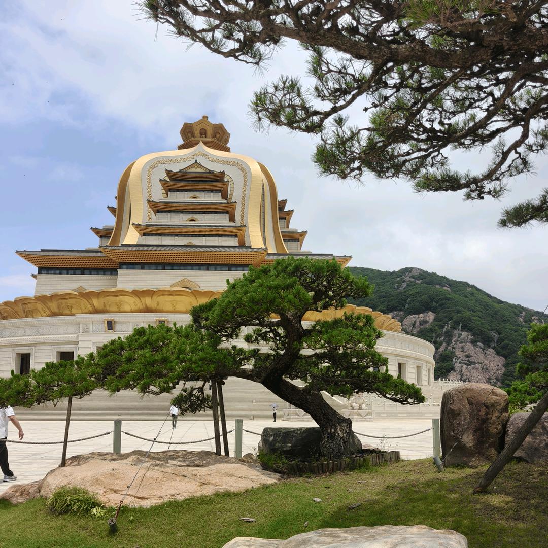 汪姐