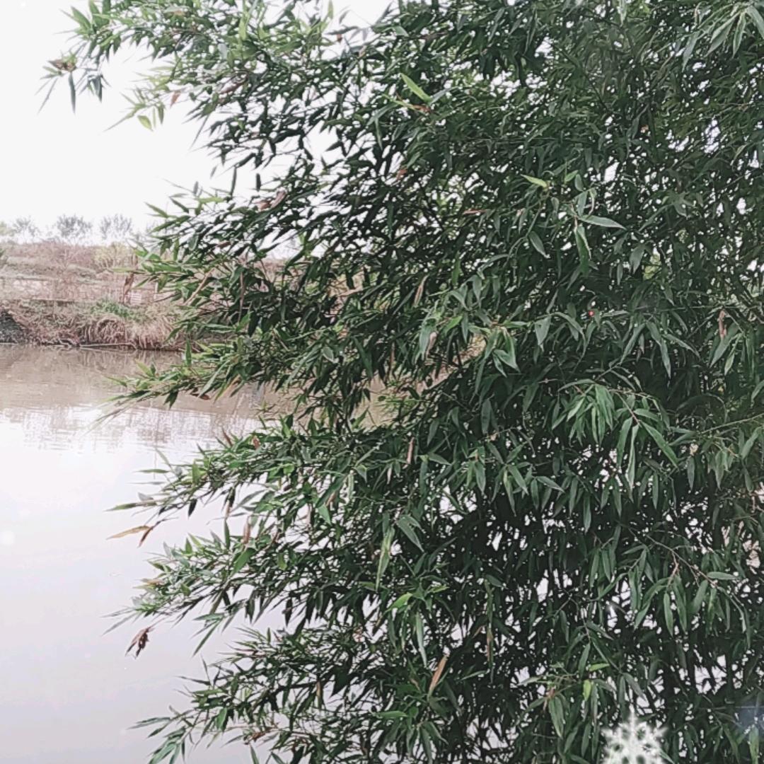 时间在走人心在变