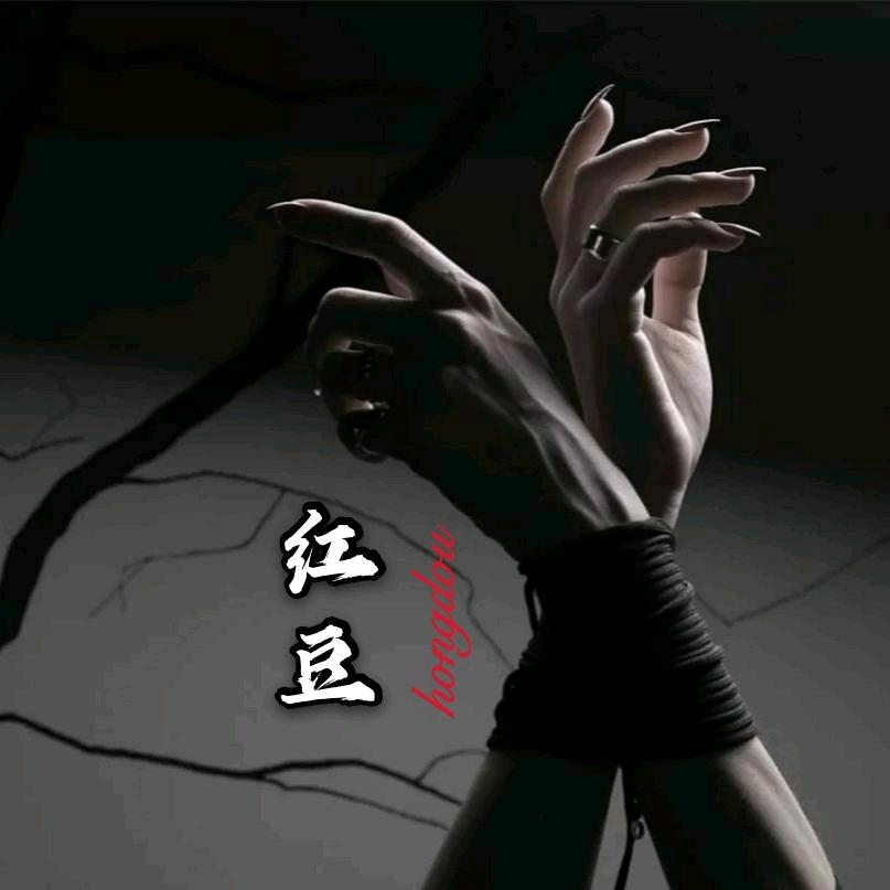 红豆情感