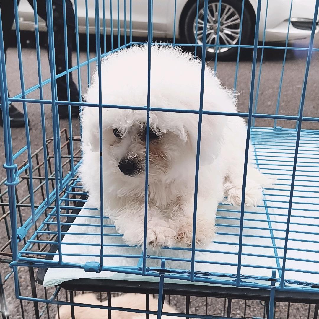 属于你的萌宠🥰