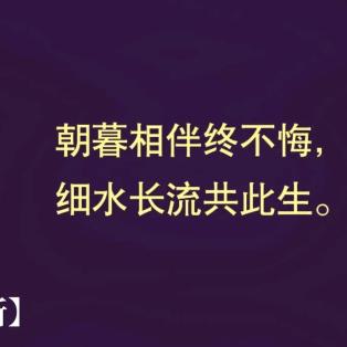 今生只愿陪你走