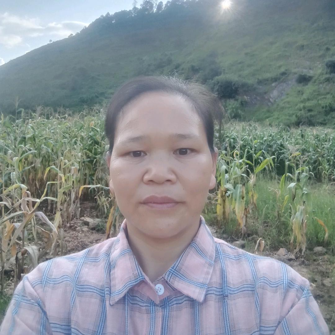 丽丽首播筹备中