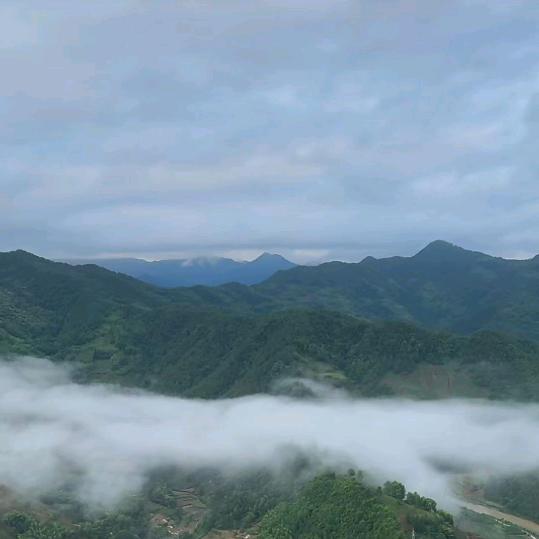 呈一