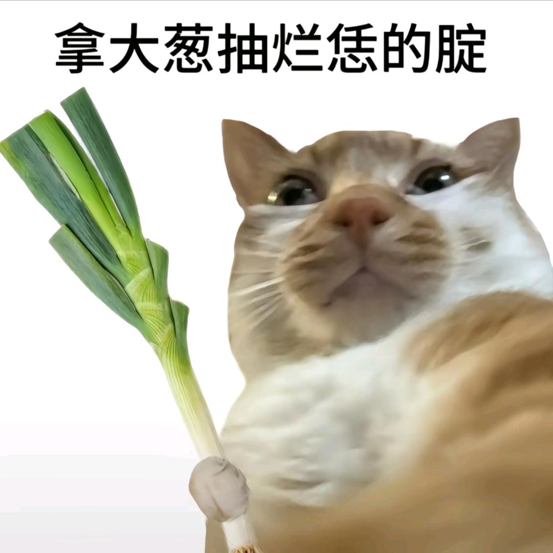 白色羽毛